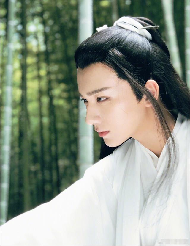 李宏毅变形计图片