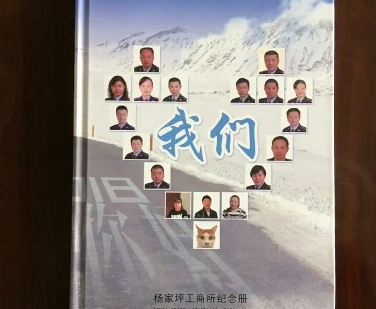 主业抓鼠兼职当调解员 这个工商所的“公务猫”了解一下？