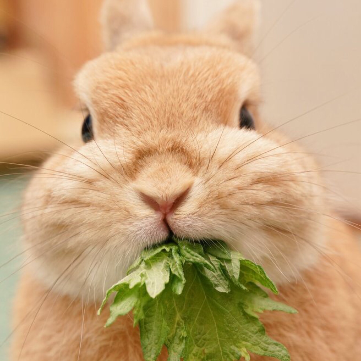 需要注意的事项