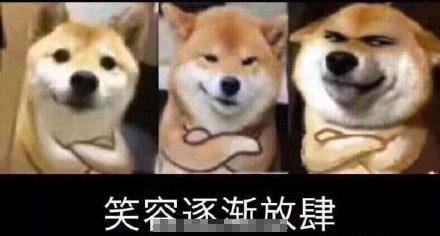 搞笑:柴犬贱贱表情包18张|狗东西|情情|神神_新浪新闻