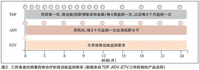 乙肝抗病毒治疗 过早介入和过晚介入 均不理想！