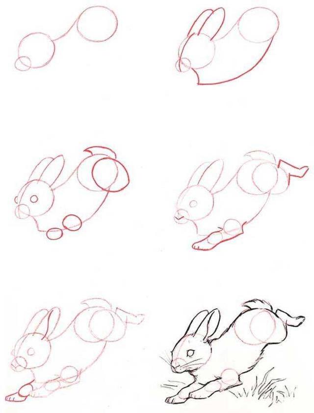 育儿简笔画小兔子,亲子绘画素材,三种画法哦