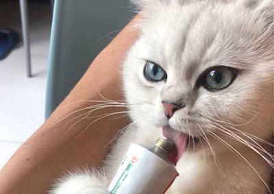 猫的咕噜声是什么原理_咕噜子药是什么东西