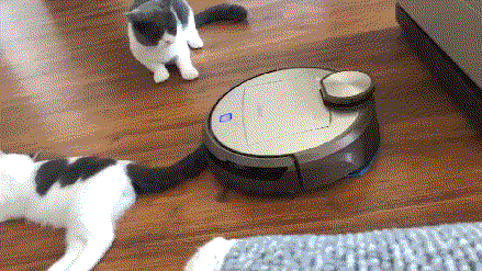 搞笑gif动图:这样喝真的好吗?要不要给你来根吸管