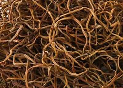 红薯苗上有一个宝贝,可以抗癌, 降三高。