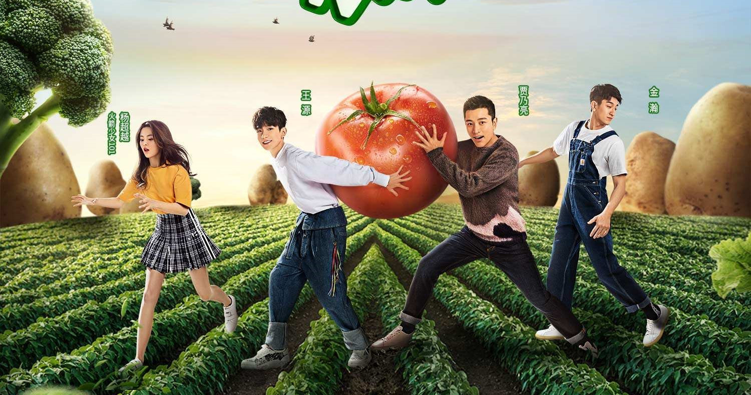 贾乃亮王源杨超越下乡录制综艺,粉丝土味应援