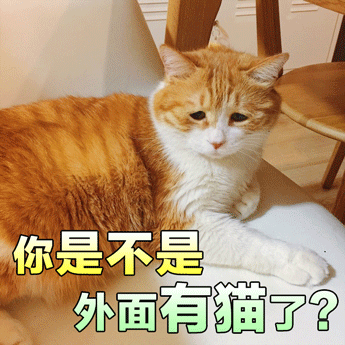 壁纸 动物 狗 狗狗 猫 猫咪 小猫 桌面 345_345 gif 动态图 动图