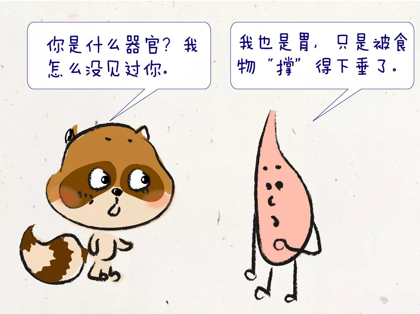 胃哭着对我说:这些