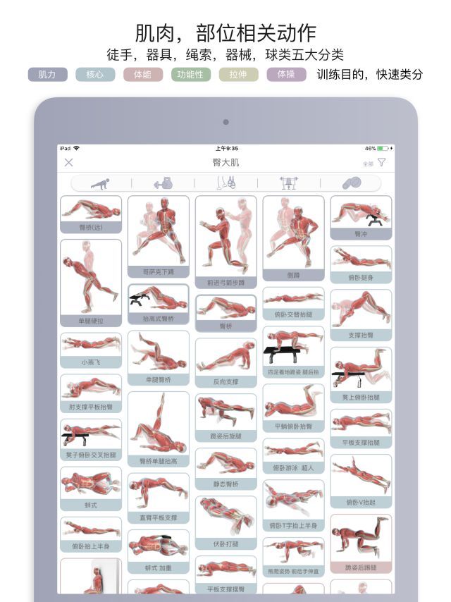 运动解剖APP-健身，运动解剖学与动作技巧详解