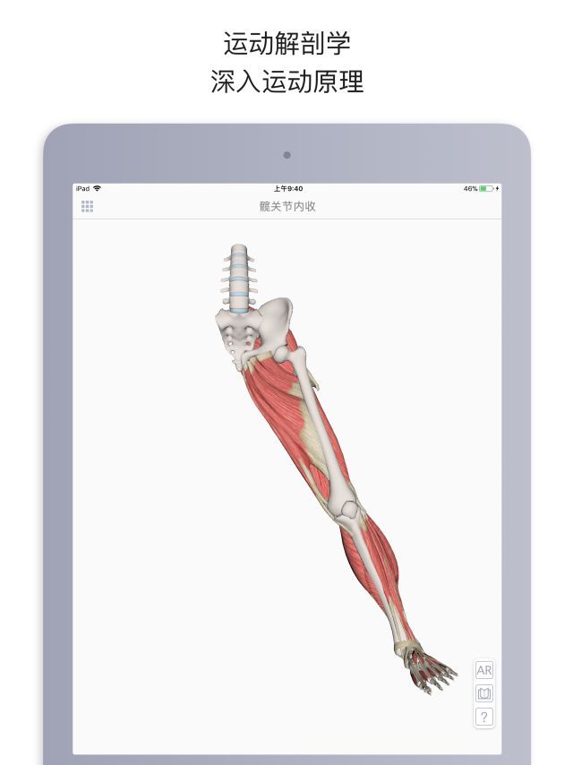 运动解剖APP-健身，运动解剖学与动作技巧详解