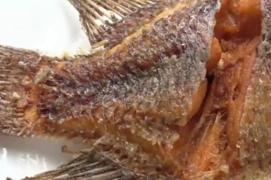 美国排名第一的淡水鱼,肉多刺少,为什么中国人