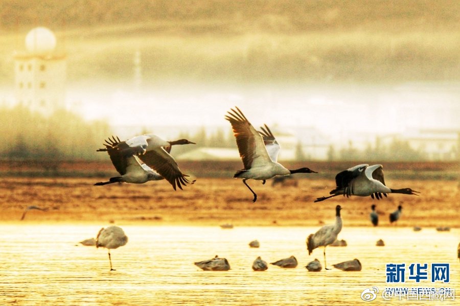 【2024實測】Gameone娛樂城好唔好玩？連登LIHKG仔竟然咁評價？全方位拆解出金、優(yōu)惠、遊戲體驗！ 