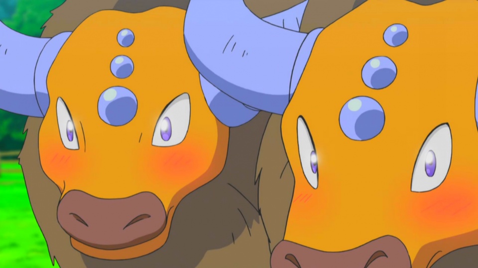 妙蛙种子被叫蒜头王八？神奇宝贝中还有不少奇怪的诨名！