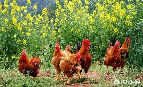 四五月份最适合去哪里旅游?