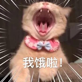 搞笑图片:要带我去吃饭了嘛
