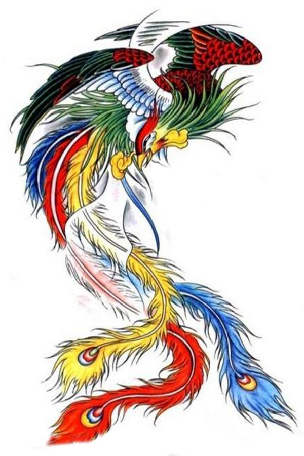 新年贺岁 吉祥凤凰图案与鸟图腾壁纸 凤凰 图腾 鸟 新浪新闻