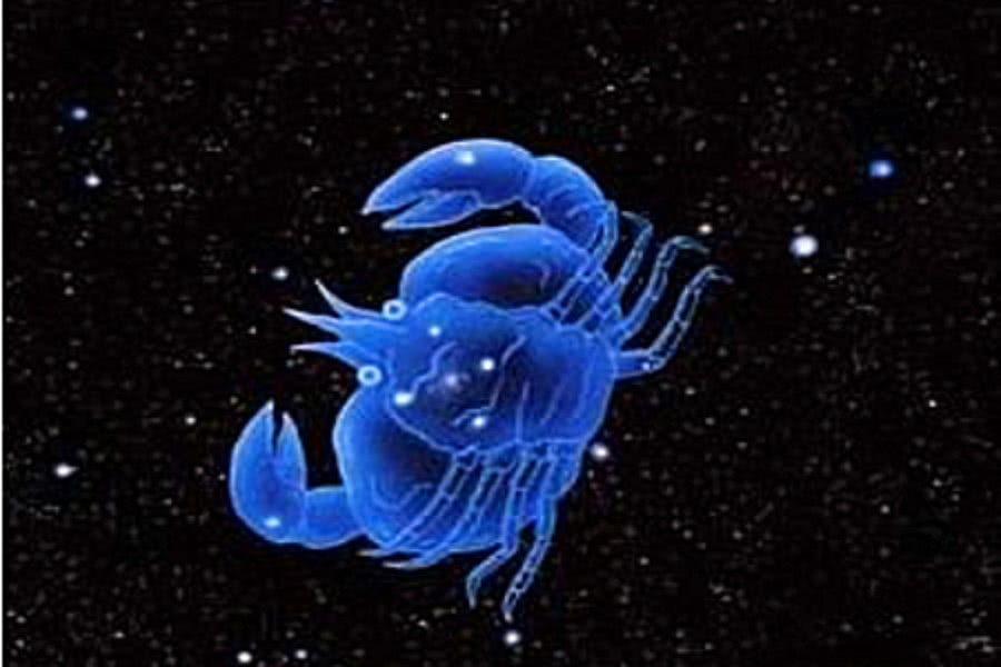 射手座和射手座在一起会怎样 avP2-htstzcc0290842.jpg