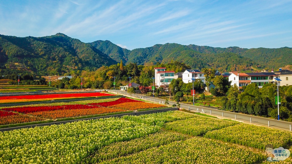 中国最美的乡村在浙江,一个家家门上挂家训,一个在最美公路旁