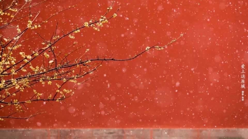 图片来源:故宫博物院网站            尤其是冬天一来, 大雪纷飞