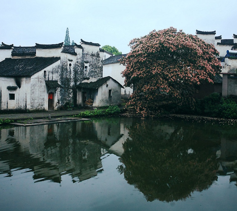 诸葛姓人口数量_浙江姓氏统计:陈姓最多,“梅兰竹菊”“喜怒哀乐”都是姓