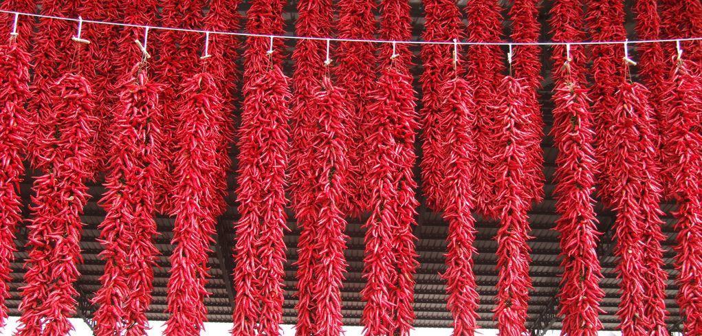 站长说易之手机号预测(二十五)手机号磁场五行