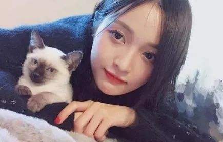 vs吴宣仪的暹罗猫juju!张雨绮:不会打架吧