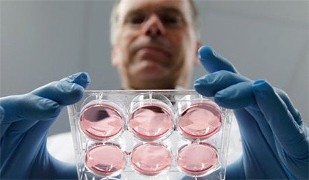 孕旅:冷冻胚胎成功率竟然更高?90%的备孕男女