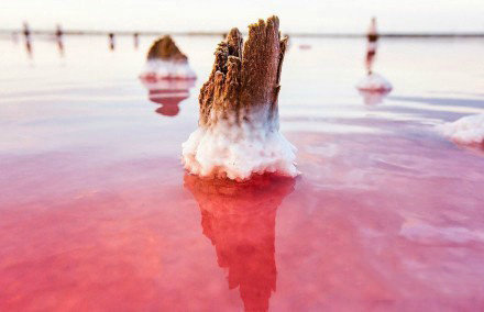 烏克蘭克里木半島，美麗迷人的鹽湖