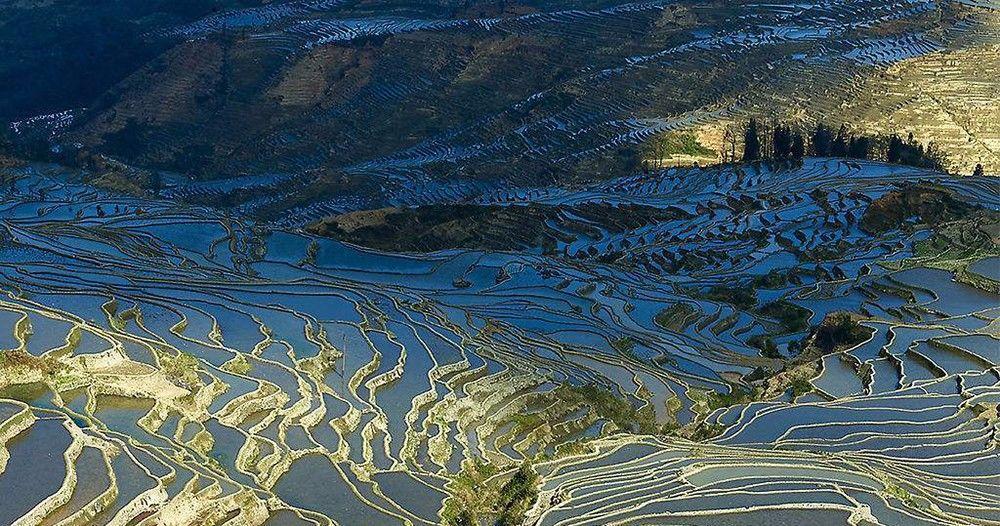 站长说易之手机号预测(二十一)数字8磁场研究