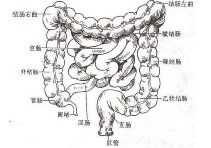 结肠占位有什么症状?