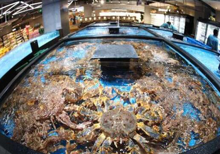 吃货福音！全球海鲜吹响“集结号”