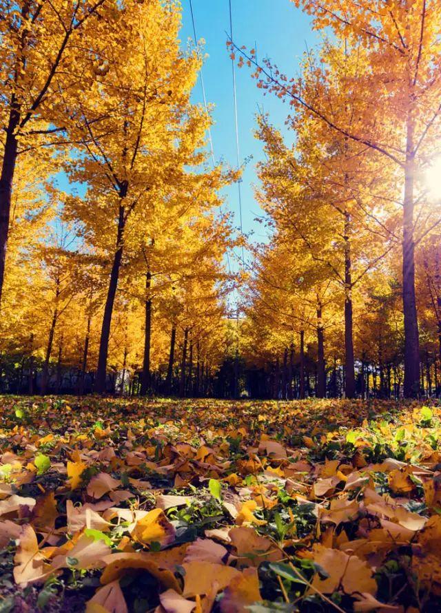 爱旅行女孩的20个缺点和1个优点