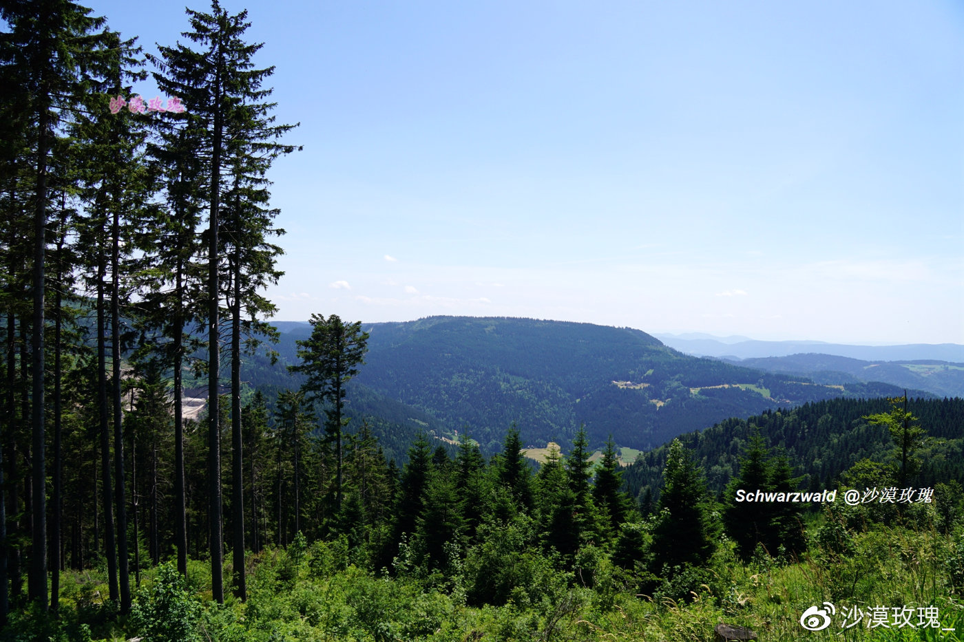 白雪公主和小紅帽的家 全球富翁聚集地