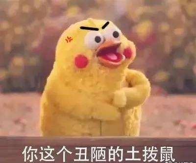 发一个【表情兄弟】鹦鹉合集熊猫头表情图怎么画图片