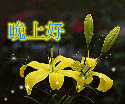 晚安祝福语 晚安问候动态美图