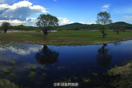 [長(zhǎng)白濕地]