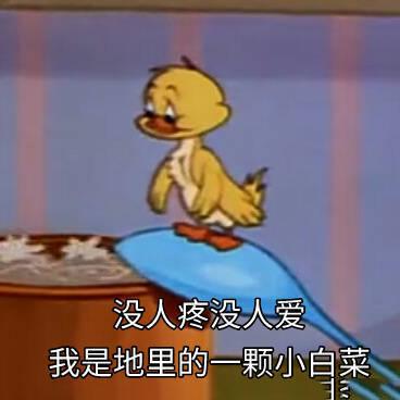 没人疼,没人爱,我是地里的一棵小白菜
