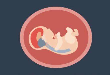 孕妇NT检查:做NT不知道这些就等于白做!