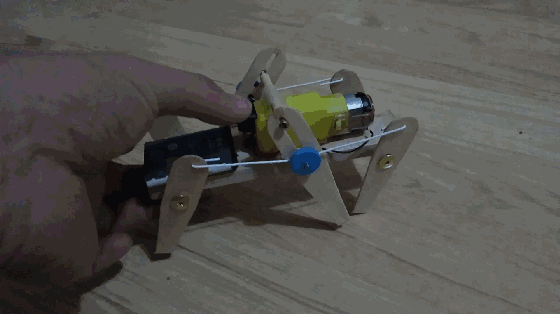 爆笑gif图:只要跳的足够快,寂寞就追不上我的脚步