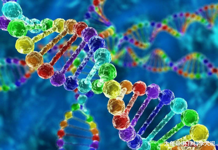 为啥有人怎么吃都吃不胖?科学家:与基因有关,