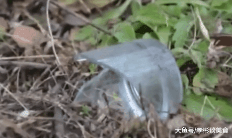 年轻女子爱上已婚大叔,被家人带回强制流产,畸