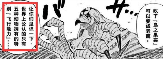 海贼王 五大飞行能力者简析是凯多三灾 King 的劲敌