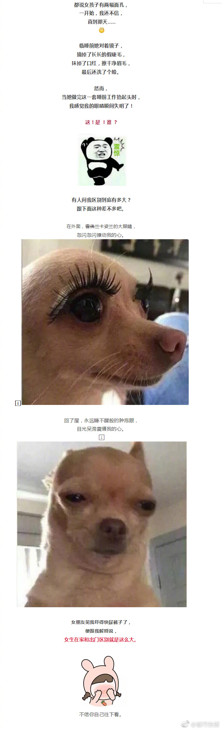 執韁人的棋局：香港賽馬會主席與這座城的黃金時代 