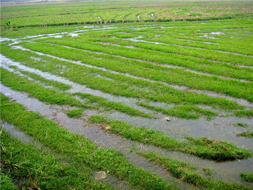 2018农村征地补偿政策:征地补偿费包括哪些?