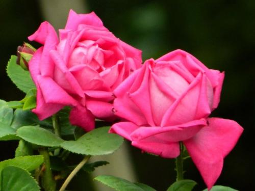 佛说:生在这三吉时的孩子,福气多,运气好,无灾无