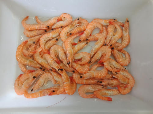 小孩特别喜欢吃的蒜香基围虾,做上一盘都不够