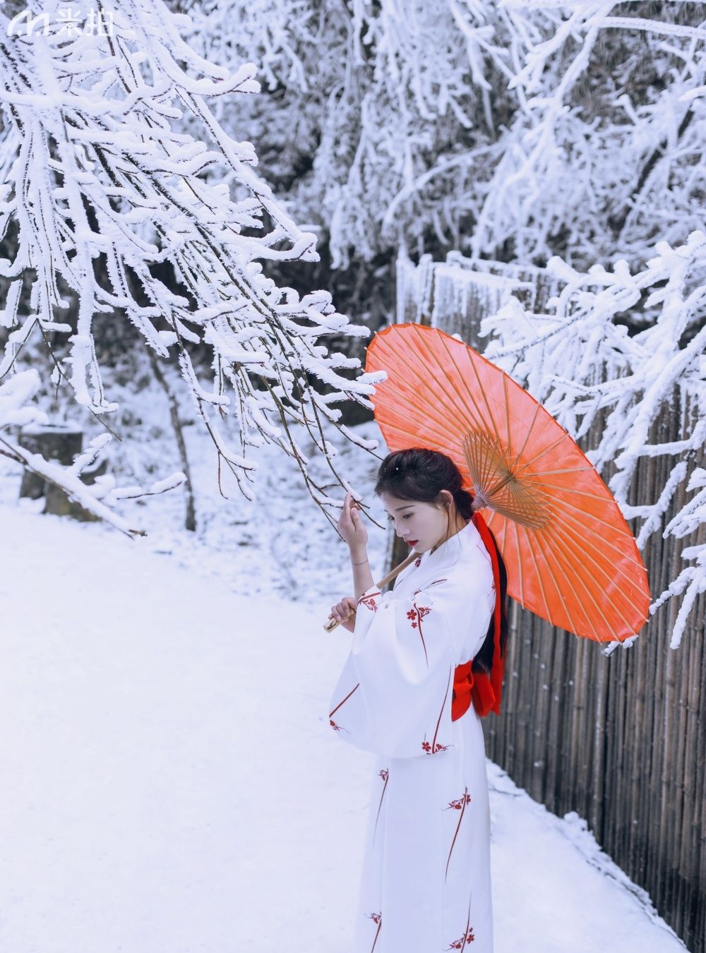 雪中的小姐姐,面容清冷让人怜惜!