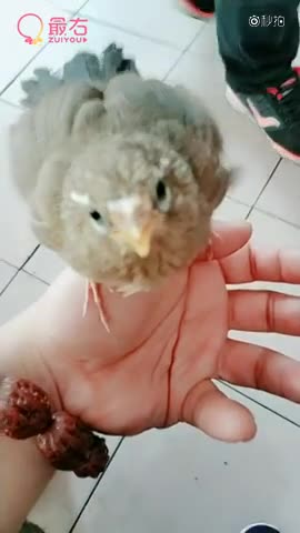 给个评论吧！看看好玩不