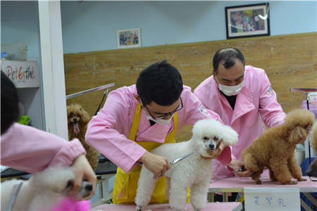 华体会- 华体会体育官方网站- 华体会体育APP下载美颜相机个人信息保护政策