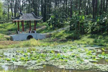 广东阳江最美森林公园， 山清水秀构成了一道亮丽风景线!
